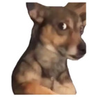 Sticker #684143