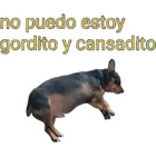 No puedo estoy gordito y cansadito