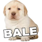 BALE