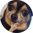 Sticker #748062