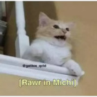[Rawr in Michi]