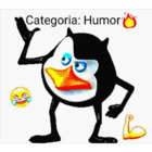 Categoria: Humor