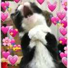 Sticker #778913