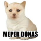 ME PERDONAS