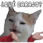¿Qué carajo?