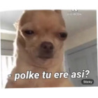 ¿Por qué tu eres así?