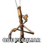 QUE PECULIAR