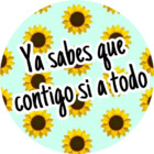 Ya sabes que contigo si a todo