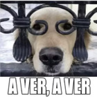 A VER, A VER