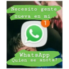 Necesito gente nueva en mi WhatsApp ¿Quién se anota?
