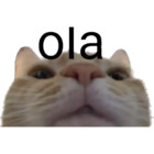 Ola