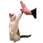 Sticker #823351