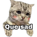 Que sad