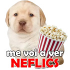 Me voy a ver NEFLIX