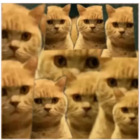 Sticker #850896