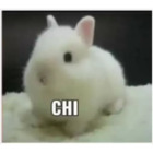 CHI