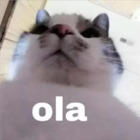 Ola