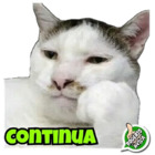 Continua