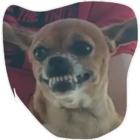 Sticker #907199