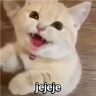Jejeje