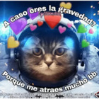 ¿A caso eres la gravedad? Porque me atraes mucho bb