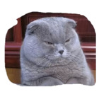 Sticker #929469