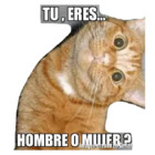 TU, ERES. HOMBRE O MUJER ?