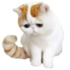 Sticker #985572