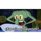 ¿Esponja enloqueciste?