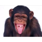 Sticker #372080