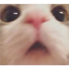 Sticker #586676