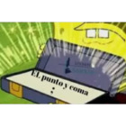 EL punto y coma