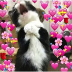 Sticker #821727