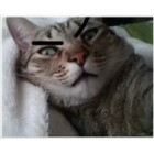 Sticker #970060