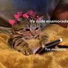 Yo toda enamorada, Tus mensajes