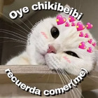 Oye chikibeibi recuerda comer(me)