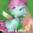 Ahh q asco