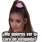 ¿Me quieres ver la cara de estúpida?