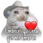 Embeces quisiera que me amaras