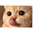Sticker #031246