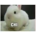 CHI