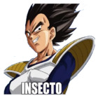 Insecto