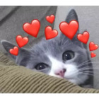 Sticker #113520