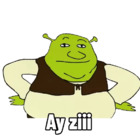 Ay ziii