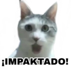 ¡IMPAKTADO!