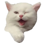 Sticker #140138