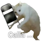 Calla...