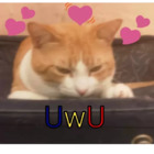 UwU