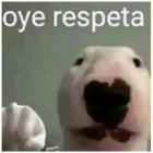 Oye respeta