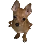 Sticker #234327